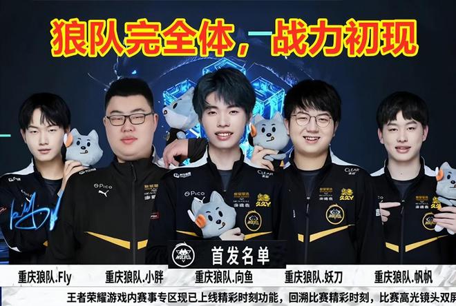 不仅拥有一