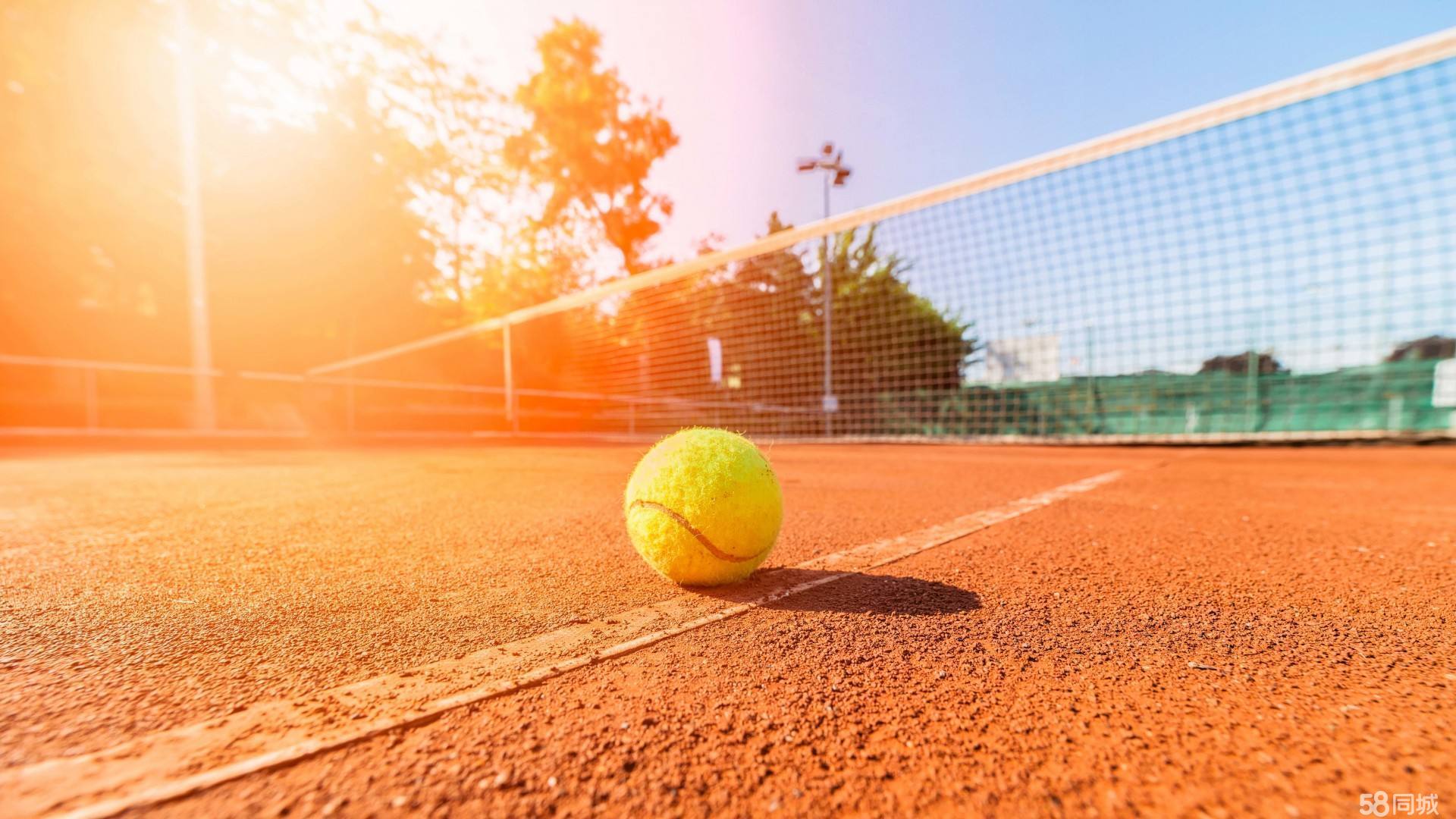 球的对比 球的对比