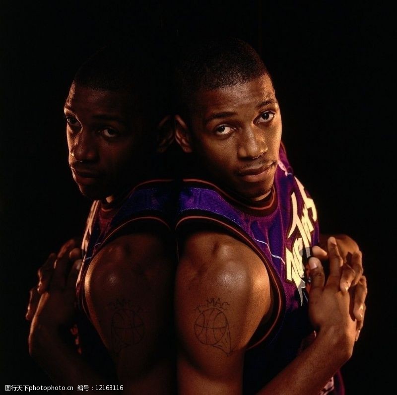 术多样性 术多样性