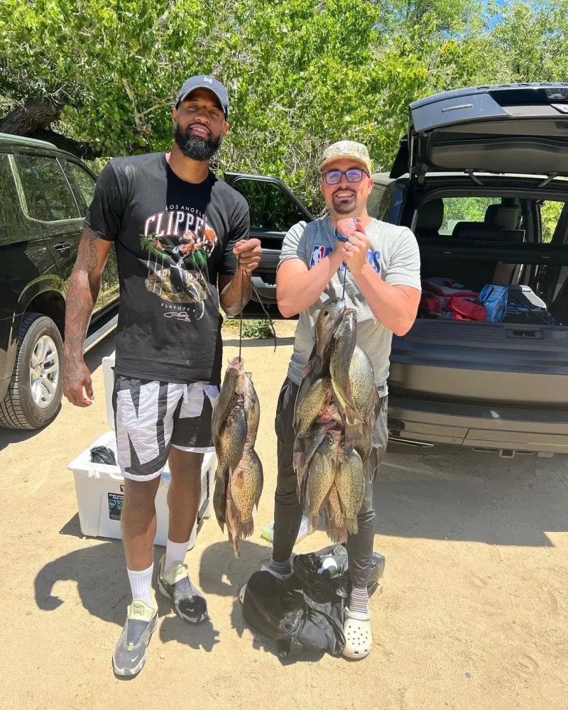 滑雪领域的 滑雪领域的