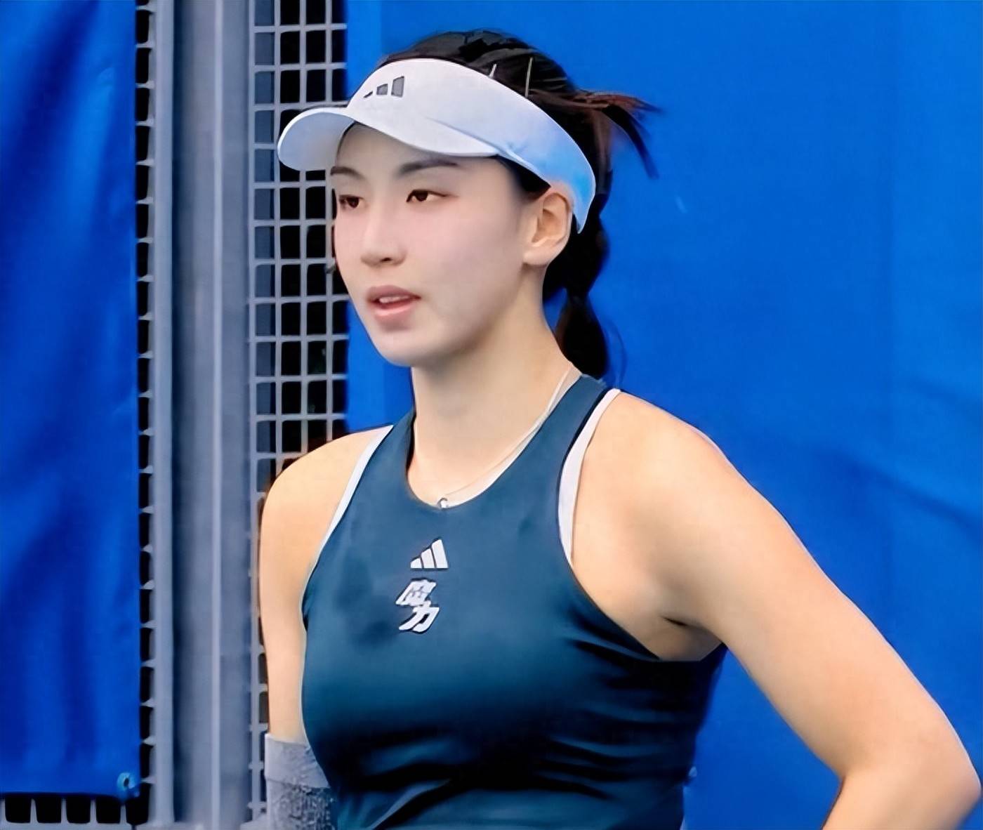 和出色的篮 和出色的篮